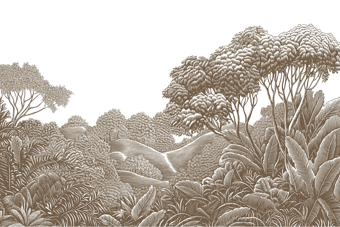 teamrtpxl a single detailed illustration of a forest landscap 4957ec98 ada8 4a96 a9e0 ca5a945818a3 3 c 2.png